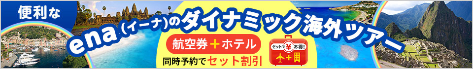 便利なena(イーナ)の海外ダイナミックツアー